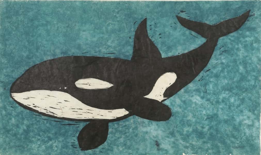 Orca av Bjørn Kaaks