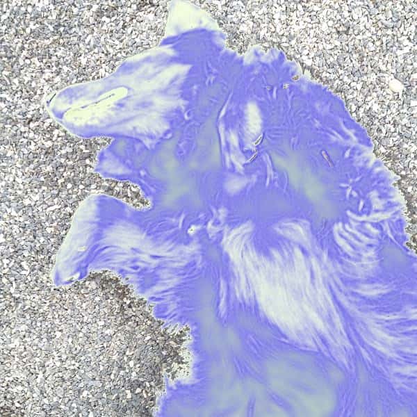 Klø meg på magen av Elin Bergstø Rossing