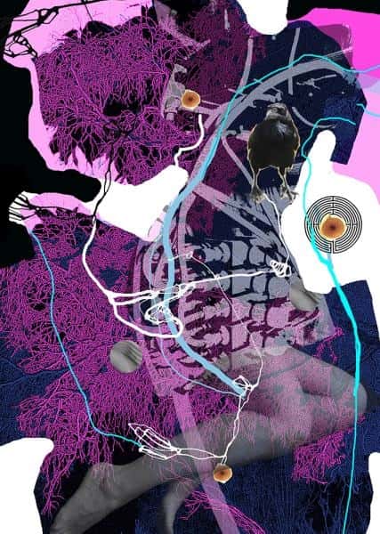 Look beyond the surface av Elin Bergstø Rossing